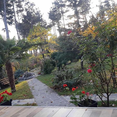 Neli & Zaal Guest House Telavi Dış mekan fotoğraf