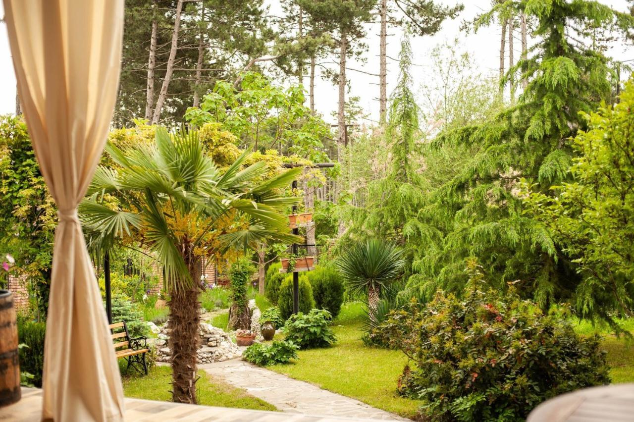Neli & Zaal Guest House Telavi Dış mekan fotoğraf