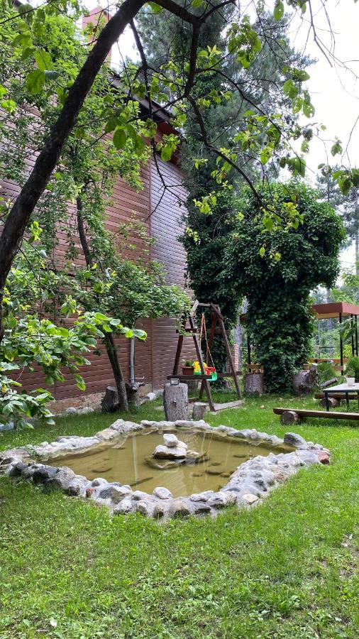 Neli & Zaal Guest House Telavi Dış mekan fotoğraf