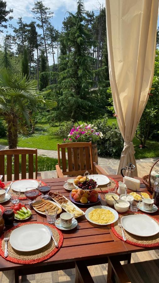 Neli & Zaal Guest House Telavi Dış mekan fotoğraf