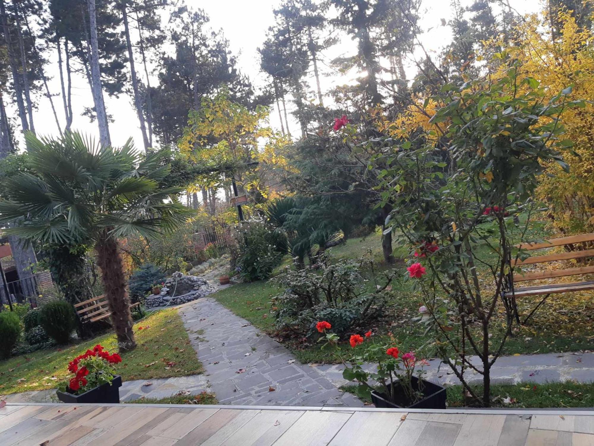 Neli & Zaal Guest House Telavi Dış mekan fotoğraf